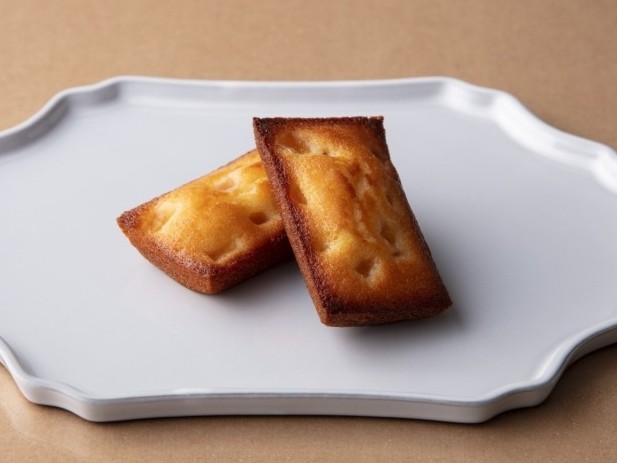 APPLE FINANCIER