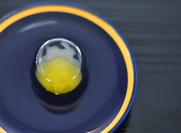 TSUKIYO NO UTAGE apple jelly