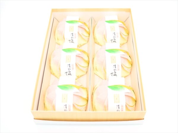 SHIMIZUHAKUTO JELLY6 pieces box