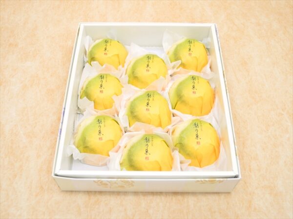 nashinoka 9 pieces box