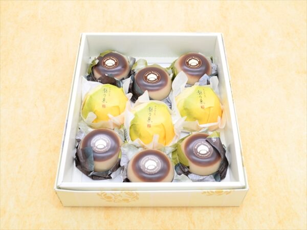 marron pudding & nashinoka 9 pieces box