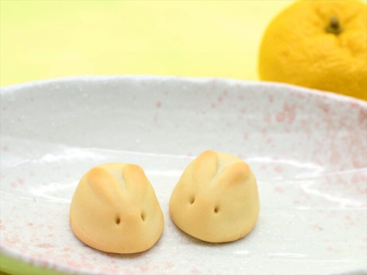 Usagi san bunny-shaped bean cake