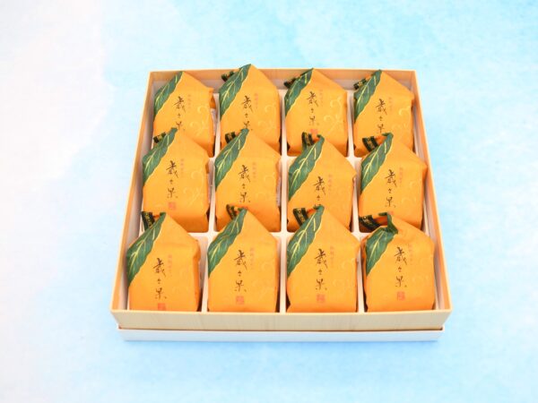 saisaika 12 pieces box