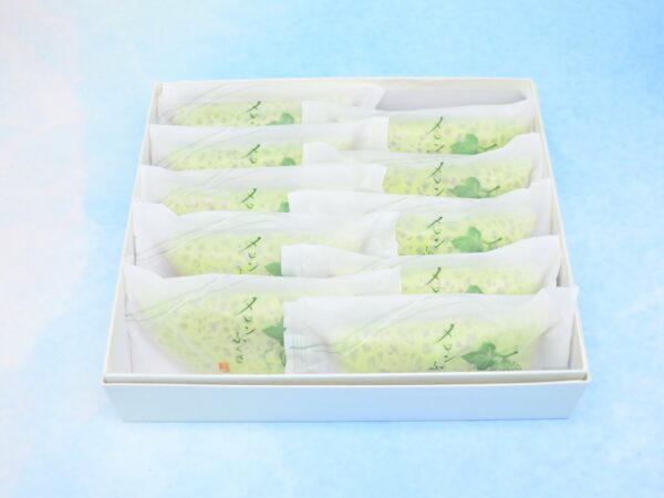 melon fukusa 10pcs