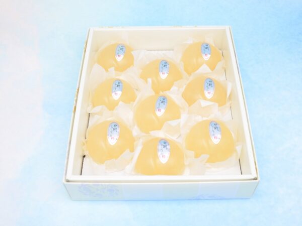 WHITE PEACH SHERBET 9PCS