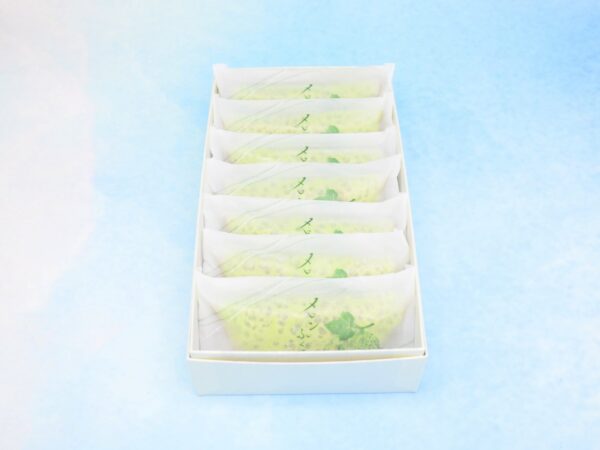 melonfukusa 7pcs