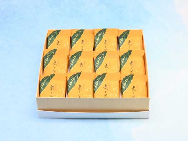 saisaika 12pcs