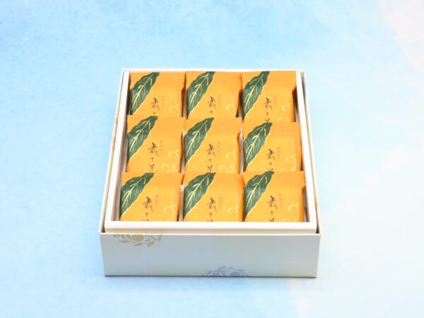 saisaika 9pcs