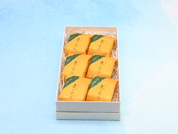 saisaika 6pcs